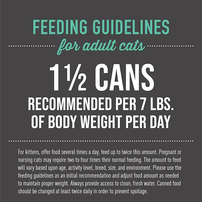 Tiki Cat After Dark, Chicken & Pork, High-Protein and 100% Non-GMO Ingredients, Wet Cat Food for Adult Cats, 5.5 oz. Can (8 Count)