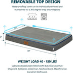 Orthopedic Memory Foam XXL Dog Bed - 6" Thick Beds for Extra Large Sized Dog - Waterproof Removable Washable Cover & Wrap-Around Zipper - Ultimate Comfort & Easy Maintenance, Dary Grey