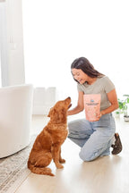 Champ and Liza’s Fancy Salmon Delights – Freeze-Dried Wild-Caught Salmon Treats for Dogs & Cats – USDC-Inspected, Grain-Free, No Preservatives, Omega-3 Rich, Natural Snacks – 4 oz