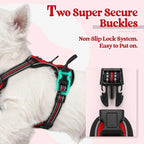 rabbitgoo Dog Harness No Pull with 2 Leash Clips, Adjustable Soft Padded, Reflective Oxford No Choke Pet Vest with Easy Control Handle for Puppy, Red,XS