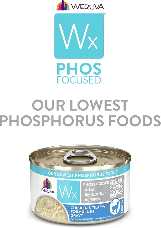 Weruva Wx Phos Focused, Chicken & Tilapia Formula in Gravy, 3oz Can (Pack of 12)