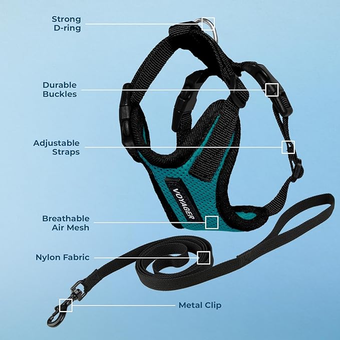 Voyager Escape-Proof Step-in Lock Cat Harness & 5ft Neoprene-Handle Leash Set All-Weather Mesh with Reflective Stitching for Small to Large Cats by Best Pet Supplies, Turquoise/Black Trim, XXS