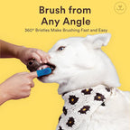 Jasper Large Dog Toothbrush, 360 Degree Pet Tooth Brushing Kit, Cat Toothbrush, Canine Dental Care & Teeth Cleaning Kit, Pet Finger Tooth Brush, Use with Dog Toothpaste, 2-Pack Navy-Blue Large