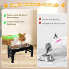Elevated Dog Bowls for Small Medium Dogs, 3 Height Adjustable Raised Stand with 2 Thick 6" Stainless Steel Food Bowls, Non-Slip Feeder Adjusts to 2.75", 6", 7.5", Black