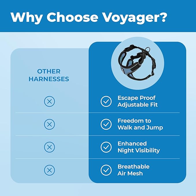 Voyager Escape-Proof Step-in Lock Cat Harness & 5ft Neoprene-Handle Leash Set All-Weather Mesh with Reflective Stitching for Small to Large Cats by Best Pet Supplies, Black Trim-Baby Blue (327), S