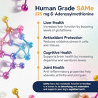 Liver Health Supplement for Medium Dogs - Milk Thistle for Dogs Liver Support with S-Adenosylmethionine (Same) & Silybin - 30 Tablets