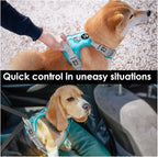 PHOEPET No Pull Dog Harness, Unique Colors Reflective Adjustable Dog Vest, with Soft Training Handle Metal Clips for Small Medium Large Dogs (Mint Green Base & Grey Straps,XL)