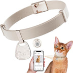 Cat Collar with QR Code Name Tag, Breakaway Kitten Collar for Boy & Girl Cats, Ultra Soft Elastic Adjustable Band, Safety Break Away Buckle, Comfortable & Secure Pet ID Collar (6"-12"), Khaki