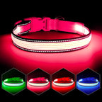 Light up Dog Collars- USB Rechargeable LED Dog Collar, Full Illuminated and Adjustable Dog Collar Light, Three Colors and Three Sizes for Small, Medium, Large Dogs (Medium, Pink-2)