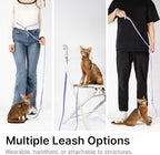 Monet Purple Cat Harness and Leash Set, Lightweight Escape Proof, Adjustable for Kitten to Large Cats, Walking Training