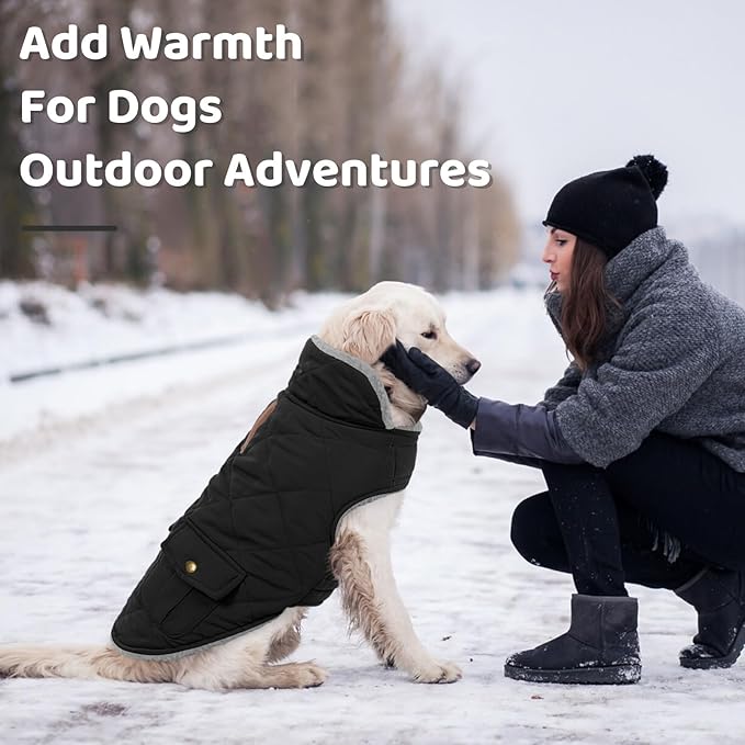 Queenmore Dog Winter Coat Warm Puffer Jacket Waterproof Plush Lining Thermal Cold Weather Vest for Small Medium Large Dogs, Windproof Easy On Pet Jacket Black S