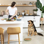 YINGFAN Slow Feeder Dog Bowls, Silicone Non-Slip Dog Slow Feeder Bowl, Puzzle Slow Eating Bowl for Medium to Small Dogs, Easy to Clean & Dishwasher Safe, 2 Cup, Green