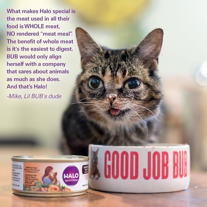 Halo Wet Cat Food Whole Chicken Recipe, Grain Free Wet Cat Pate, Canned Cat Food for Extra Hydration, 5.5 Oz Can (Pack of 12)