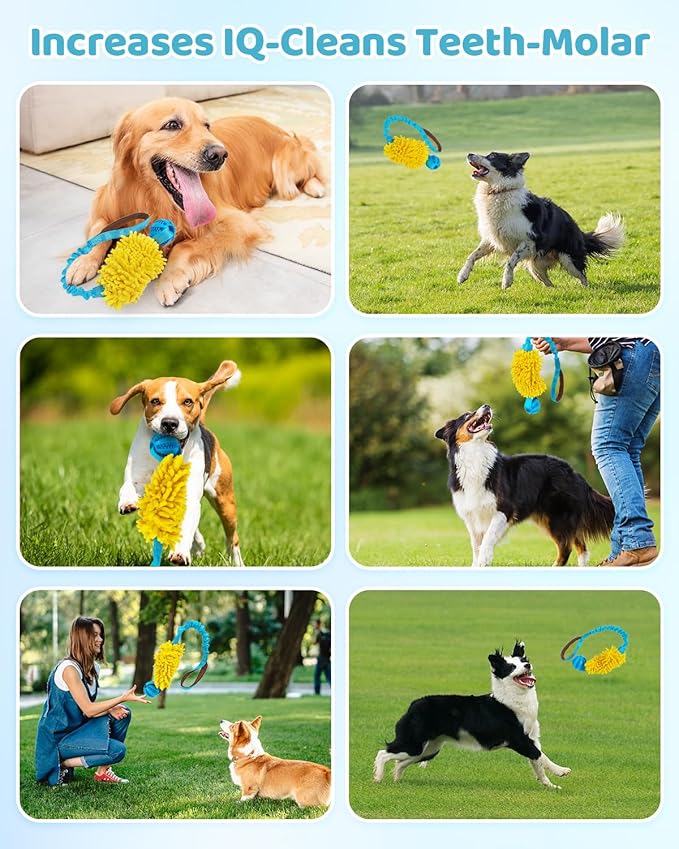 Dog Tug of War Toy, Interactive Chew Toy for Fun and Teeth Cleaning, Soft Nubby-Textured Noodle Plush with Rubber Ball, Dog Rope Toys for Training Small, Medium Large Dogs