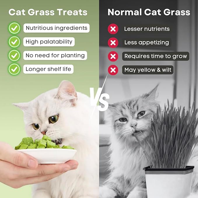 3.8oz Cat Grass Sticks for Hairball Remedy and Teeth Cleaning, Chicken Flavored Hairball Treats for Cats, Natural Freeze Dried for Indoor Cats