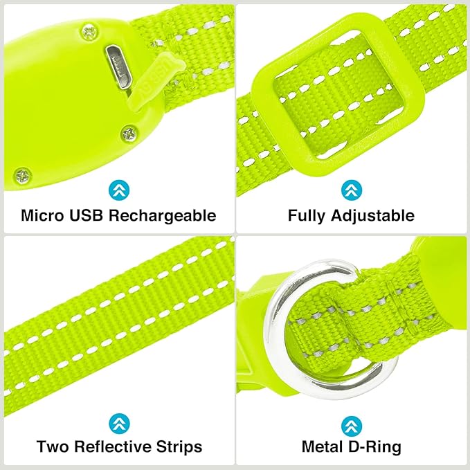 LED Dog Collar - Light Up, Adjustable, Rechargeable, Waterproof, Glow in Dark for Small Pets (S, Green)