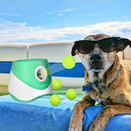 10 Pack 2-inch Dog Tennis Toys, Pet Play Balls, Refill for Automatic Launchers, Suitable for Small Dogs - Indoor & Outdoor Use, Refill balls for automatic ball launcher (Launcher Not Included)