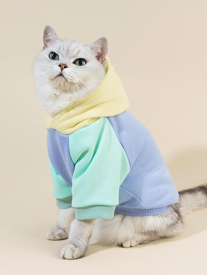 QWINEE Basic Dog Hoodie Sweatshirt Puppy Sweater Warm Cat Costumes Pet Clothes for Chihuahua Puppy Kitten Small Medium Dogs Yellow and Blue X-Large