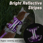 Cat Harness and Leash Set for Walking Escape Proof for Small Large cat Kitten Harness with ID tag Pocket (Purple,XXS)