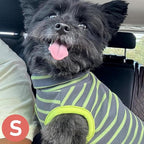 KYEESE 2Pack Dog Sweater Stretchy Dogs Clothes Dog Sweaters for Small Dogs Male Soft Dachshund Clothes Warm Pet Coats Turtleneck Small Pet Sweaters Pullover Pets Sweatshirt