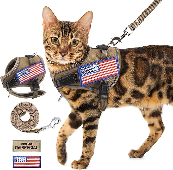 PUPTECK Tactical Cat Harness and Leash Set Escape Proof, Adjustable Reflective Kitten Jacket Easy Control, Pet Vest Harness for Cats Small Dogs Puppies Walking and Travel