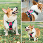 PHOEPET 2019 Upgraded No Pull Dog Harness, Reflective Adjustable Vest, with a Training Handle + 2 Metal Leash Hooks+ 3 Snap Buckles +4 Slide Buckles(XS, Pink)