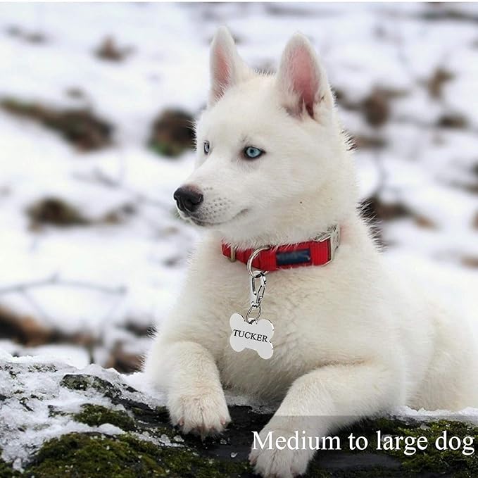 IVIA Dog Tag Clips/Multiple Size 304 Stainless Steel Quick Clip with Rings/Easy Change Pet ID Tag Holder for Small/Medium/Large Dog Cat Collars and Harnesses.(3 Pack)