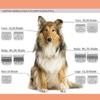 3 Pack 30# Detachable Pet Dog Grooming Ceramic Blades,Compatible with Andis,Oster A5,Wahl KM-10 Series,Size #30 Blade 1/50-Inch 0.5MM Cut Length