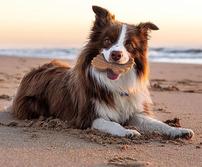 Dog Toys for Aggressive Chewers, Indestructible Toys for Large Dogs, Dog Chew for Large Medium Small Breed, 3 Pack Super Chewer with Tough Nylon, Gift for Dogs