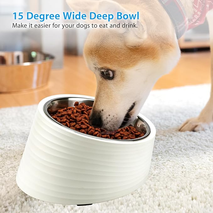 Tilted Angle Dog Bowl, 15° Slanted Stainless Steel Dog Cat Food Bowl, Non-Slip & Non-Spill Pet Feeder with Elevated Detachable Melamine Stand, Easy to Get Food Dish, Large 2 Cup White
