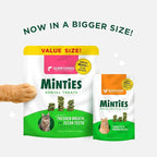 Minties Dental Treats for Cats, Chicken Flavored Treats for Cats, Freshens Breath and Controls Tartar, 10oz (Pack of 2)