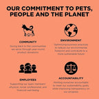 Go! Solutions Weight Management + Joint Care, Grain-Free Dry Cat Food, Salmon Recipe, 6 lb Bag