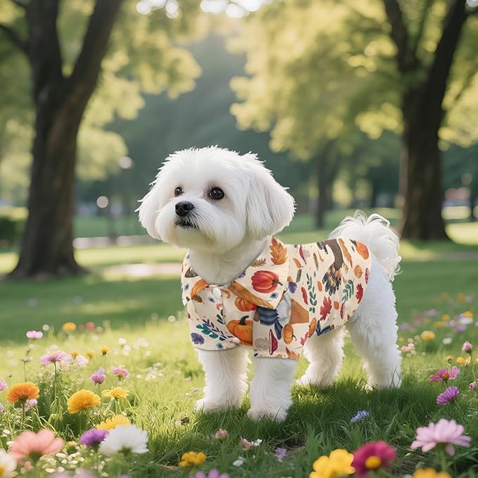 Turkey Dog Shirt for Large Dogs Cute Puppy Cat Polo T-Shirt, Soft Pet Thanksgiving Clothes Boy Girl Outfit for Dogs & Cats Lightweight Pet Shirt for Birthday & Outdoor Apparel