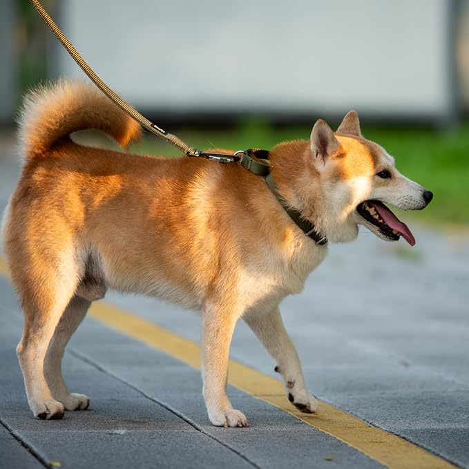 Hyhug Martingale Collar for Dogs Large Green |Escape - Proof Heavy Duty Nylon Durable No Pull, Ideal for Training & Daily Walks