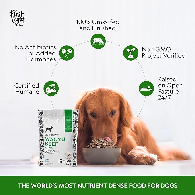 First Light Farms Freeze-Dried Dog Food Topper for Picky Eaters | High Protein Treat | Grain-Free Formula for All Breeds & Life Stages | Premium Wagyu Beef & Certified Humane | 6oz Bag