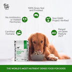 First Light Farms Freeze-Dried Dog Food Topper for Picky Eaters | High Protein Treat | Grain-Free Formula for All Breeds & Life Stages | Premium Wagyu Beef & Certified Humane | 6oz Bag