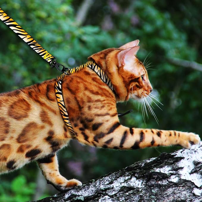 Cat Harness and Leash Escape Proof (XS)