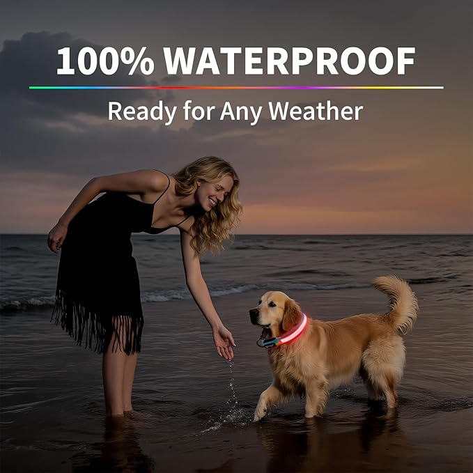 PetIsay LED Dog Collar - 7 Solid Colors & Memory - 300mAh Even Glow, No Half-Neck Light - USB-C Rechargeable, IPX7 Waterproof, Adjustable for Backyard, Hiking, Parties(Medium)