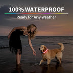 PetIsay LED Dog Collar - 7 Solid Colors & Memory - 300mAh Even Glow, No Half-Neck Light - USB-C Rechargeable, IPX7 Waterproof, Adjustable for Backyard, Hiking, Parties(Small)