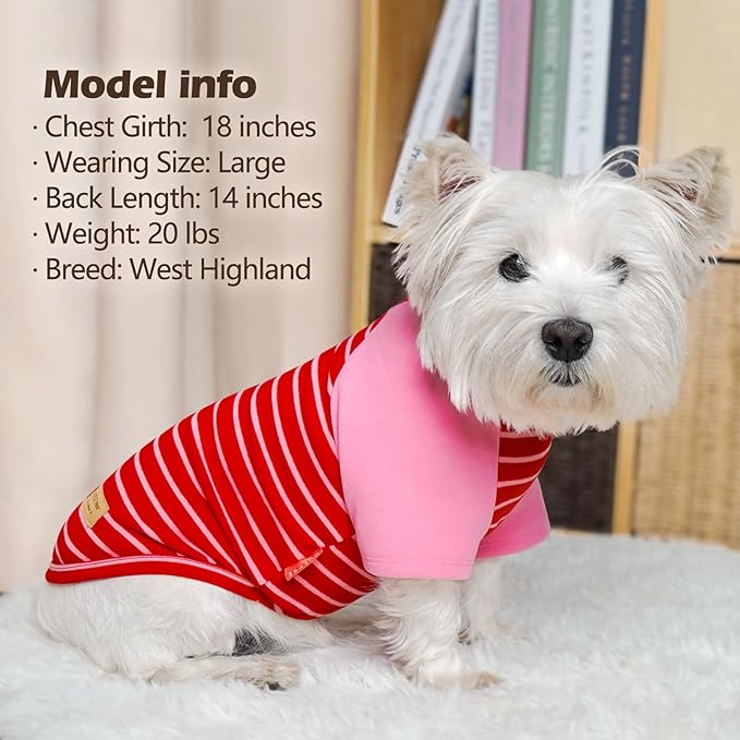 KYEESE 2Pack Dog Sweater Stretchy Cat Clothes Soft Pet Coat Comfy Pet Fleece Sweater Lightweight Dogs Sweatshirt Cat Sweaters with Sleeves Pullover Dog Sweaters for Small Dogs Girl for Cold Weather