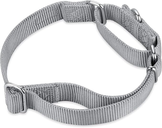 Hyhug Martingale Collar for Dogs Large Gray |Escape - Proof Heavy Duty Nylon Durable No Pull, Ideal for Training & Daily Walks