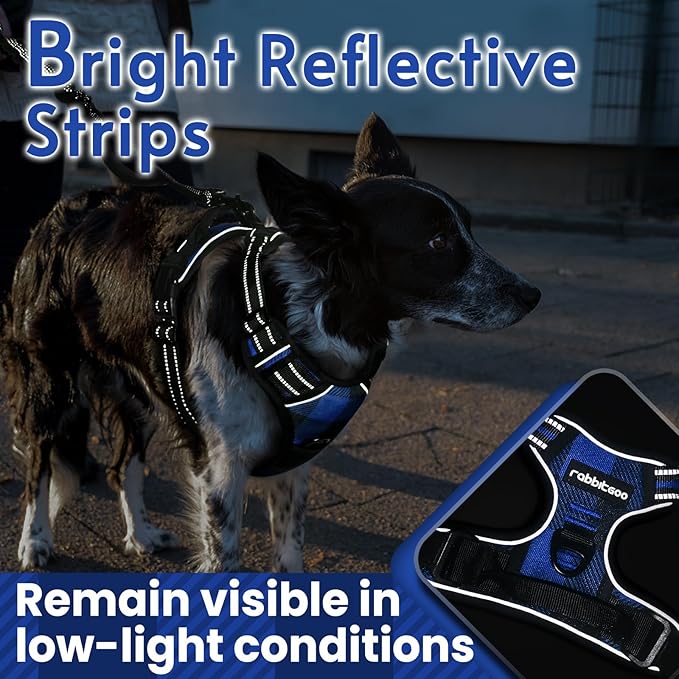 rabbitgoo Dog Harness No Pull with 2 Leash Clips, Adjustable Soft Padded, Reflective Oxford No Choke Pet Vest with Easy Control Handle for Large Dogs, Blue Plaid, XL
