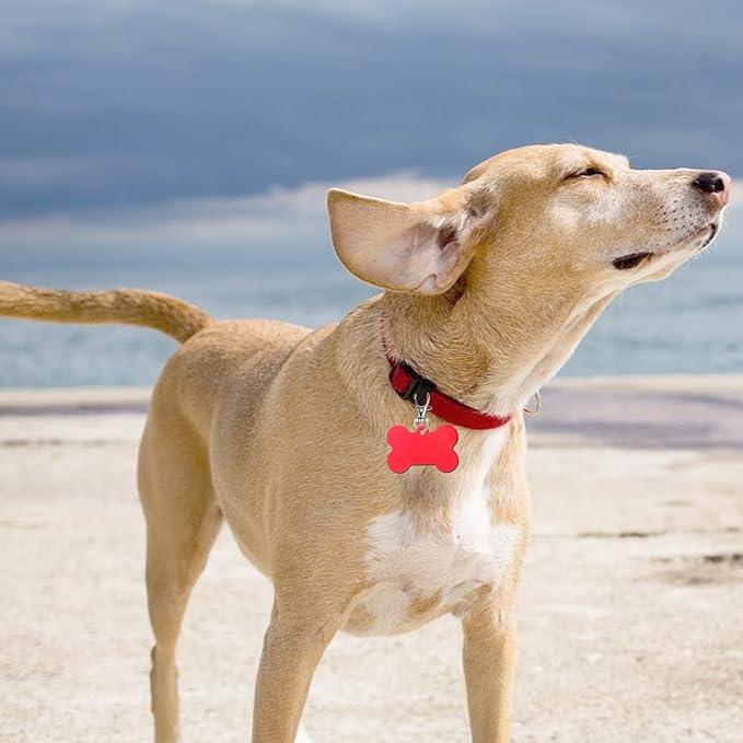 80 Pieces Pet ID Tag Colorful Blank Personalized Dog Tags Aluminum Pet Name Tags with Bone Paw Heart Cat Head Shape Animals Name Phone Number ID Craft with Holes for Dogs Cats