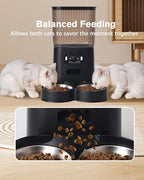 Automatic Cat Feeder, Camera Auto 2 Cats Dispenser 5L Microchip WiFi 2.4G&5G Timed Dual Pet Smart APP Dry Food Self Feeding Container Station(Black, 2 Bowls)