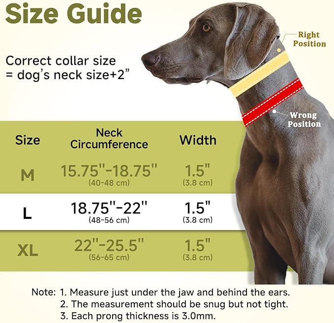 Mayerzon Martingale No Pull Collar for Large Medium Dogs, Patented Dog Walking Training Collar for Pulling, 1.5'' Wide Alloy Buckle, Neoprene Padded, Adjustable, Reflective, Easy to Use(L, Green)