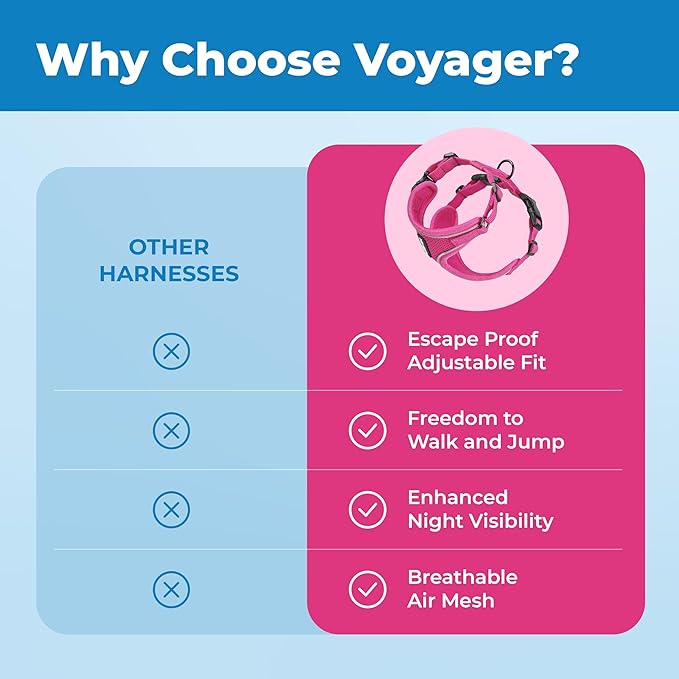 Voyager Escape-Proof Step-in Lock Cat Harness & 5ft Neoprene-Handle Leash Set All-Weather Mesh with Reflective Stitching for Small to Large Cats by Best Pet Supplies, Fuchsia (327), M