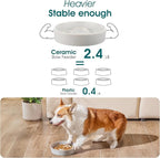 vancasso Slow Feeder Dog Bowl, 1.5 Cups Ceramic Slow Feeder for Medium Breed, Puzzle Maze Dog Food Bowl for Fast Eater, Light Gray