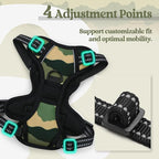 rabbitgoo Dog Harness No Pull with 2 Leash Clips, Adjustable Soft Padded, Reflective Oxford No Choke Pet Vest with Easy Control Handle for Large Dogs, Green Mountain,XS