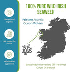 Caniclean Seaweed for Dogs Teeth - Dog Tartar Removal Tool, Plaque Remover, and Breath Freshener - Get Plaque Off Dogs Teeth Naturally. 14oz/396g.