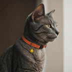 Breakaway Cat Collar Leather with Removable Bell - 13 Colors Available - Soft Adjustable Girl Boy Safety Lightweight Pet Kitten Collars Pink Brown Blue Green Red Orange Black (Blue)